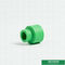 20mm de Groene Plastic Gelijke Koppeling van Ppr van de Pijpmontage voor Huis met OEM ODM