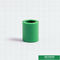 20mm de Groene Plastic Gelijke Koppeling van Ppr van de Pijpmontage voor Huis met OEM ODM
