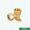 Messingskleur Aangepaste Logo Pex Brass Fittings Wall Geplateerde Vrouwelijke Elleboog