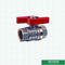 Aangepaste Mini Forged Brass Ball Valve-Dubbele Mannetje Ingepaste het MessingsKogelklep van het Vlinderhandvat