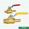 Mini Brass Ball Valve Male aan de Grootte en het Embleem van Slangbarb with level handle customized