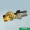 Aangepaste Zwaardere Typeunie Mannelijke Vrouwelijke Unie de Radiatorklep van Grey Classic Heating Brass Thermostatic