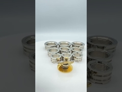 PPR-fittingen Vrouwelijke messing inzetstukken Duitsland ontwerpt lichtere typen