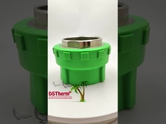 Vrouwelijke PPR-draadkoppeling Plastic PPR-pijpbevestigingen 75*2 1/2