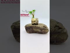 Pijpleiding Vrouwelijke Koppeling PEX Messing Fittingen Voor SS Buis