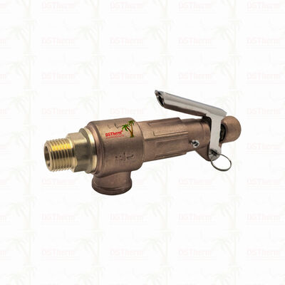 Messing Veiligheidsklep 1/2"-2" Pijpleidingsysteem Overdrukbeveiliging Apparaat Aangepast LOGO