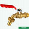 De vernikkelde van de het Messingsklep van de Waterkraan Kraan van Bibcock, Messing Tapkraan Aangepast Logo Designs