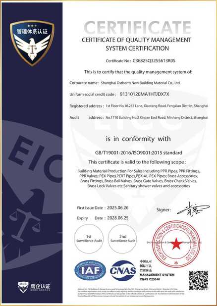 CHINA DSTHERM INDUSTRIAL LIMITED certificaten